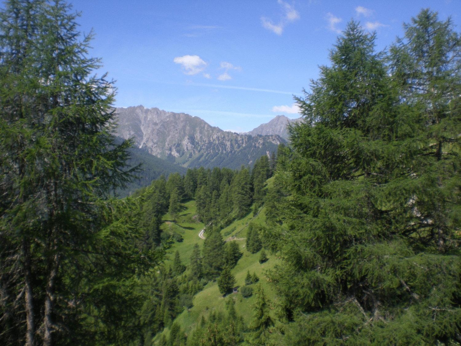 Apart-Garni Motnaida Samnaun Dış mekan fotoğraf