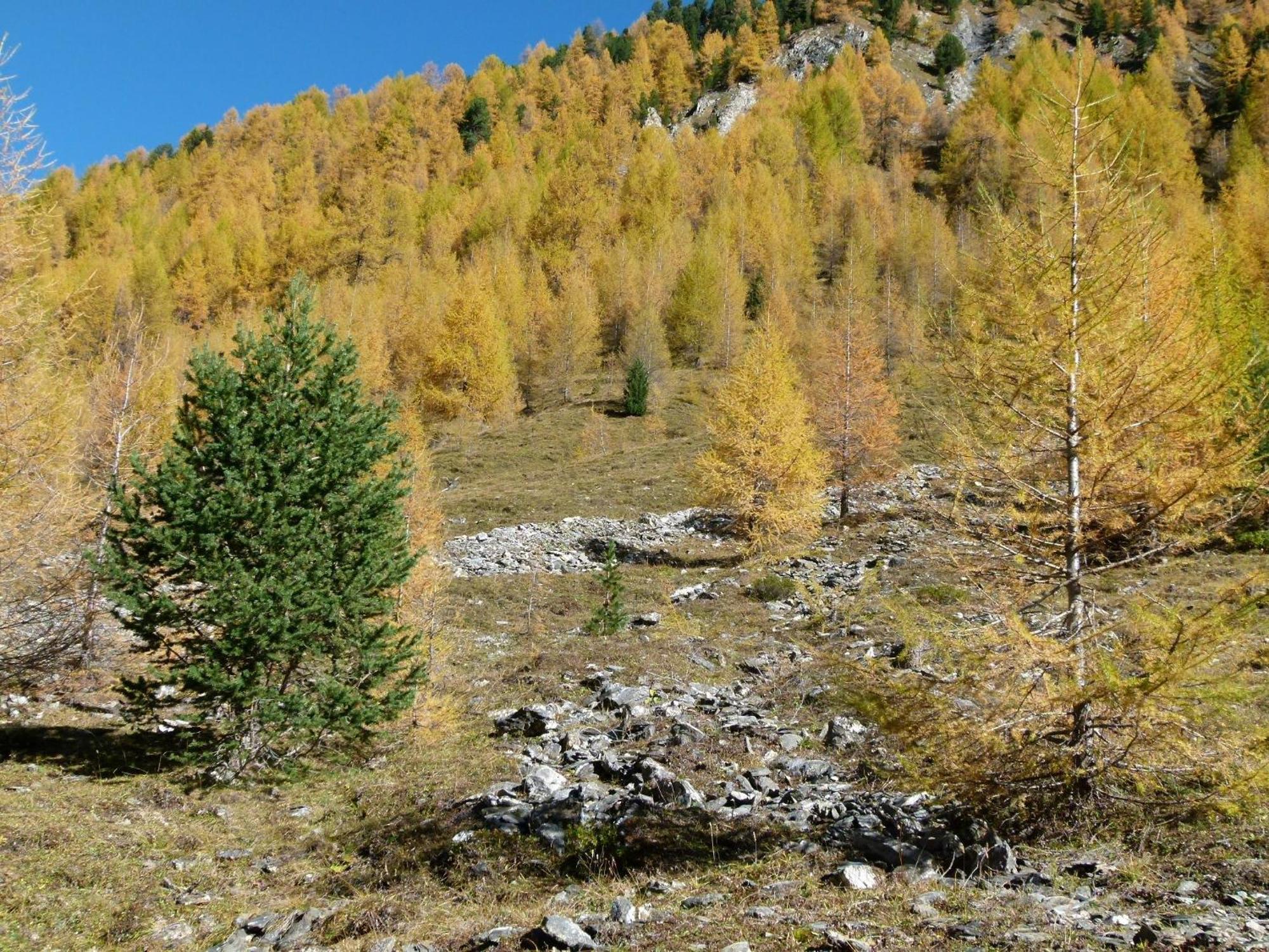 Apart-Garni Motnaida Samnaun Dış mekan fotoğraf