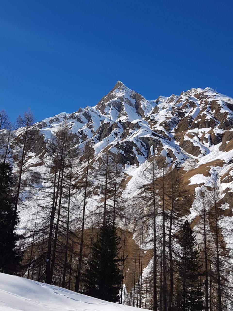 Apart-Garni Motnaida Samnaun Dış mekan fotoğraf